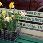 Daffodil Day bench in Bell Buckle, Tennessee