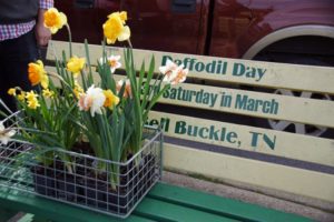 Daffodil Day bench in Bell Buckle, Tennessee